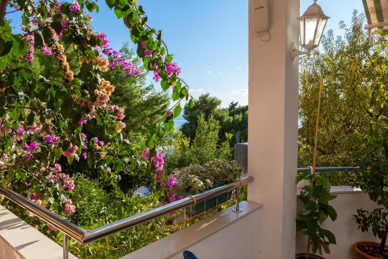 Villa Marko Stanici Exterior foto